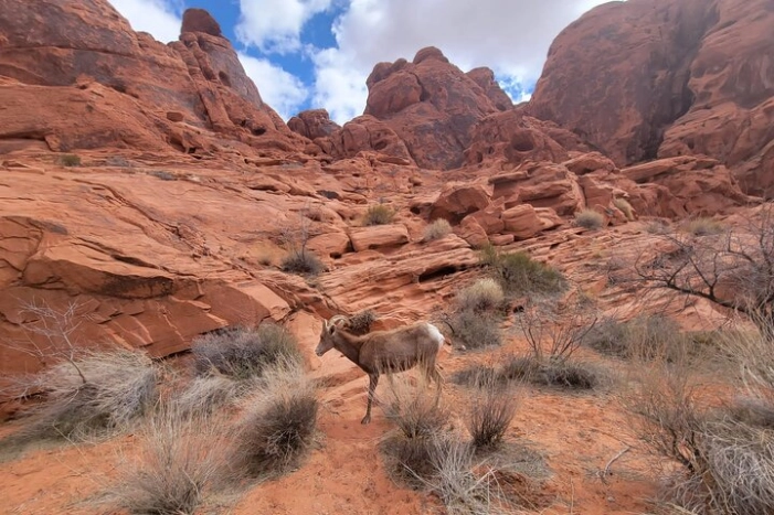 Image 15