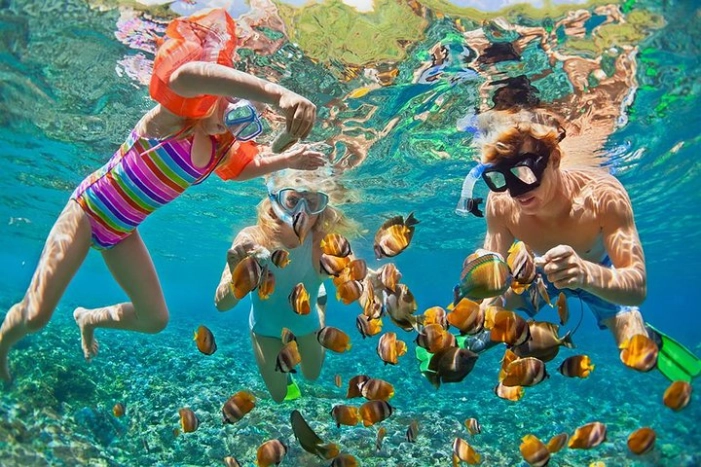 Oahu's Ultimate Tour: Dole, Turtle Snorkel, & Nuuanu Pali Lookout