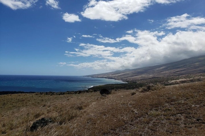 Image 19