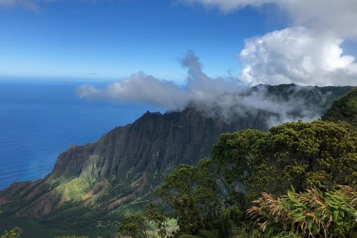 Private Kauai Island Tour : Waimea Canyon, Kalalau Lookout + More
