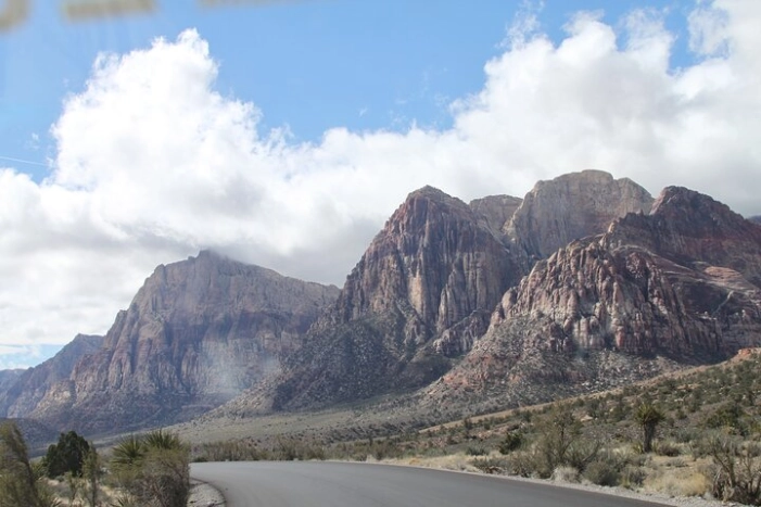 Image 14