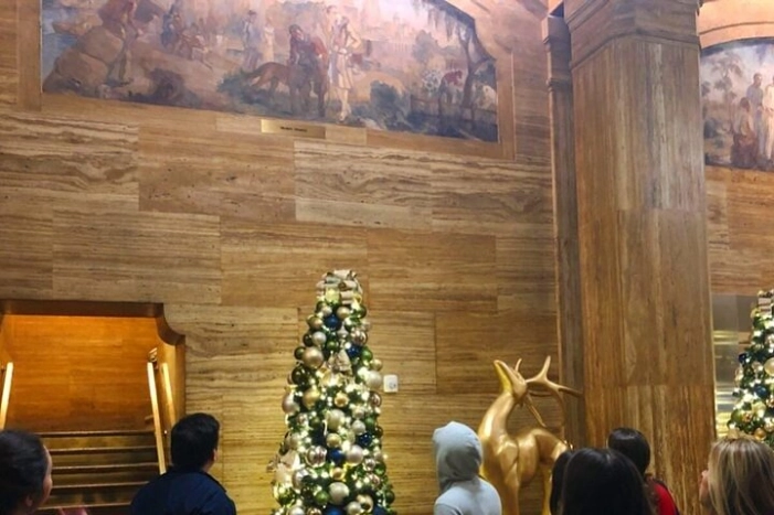 Image 13