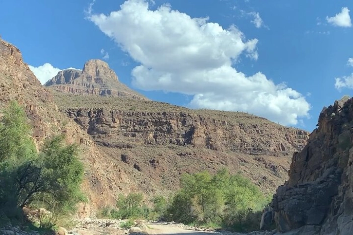 Image 8
