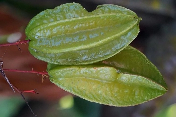 Image 9