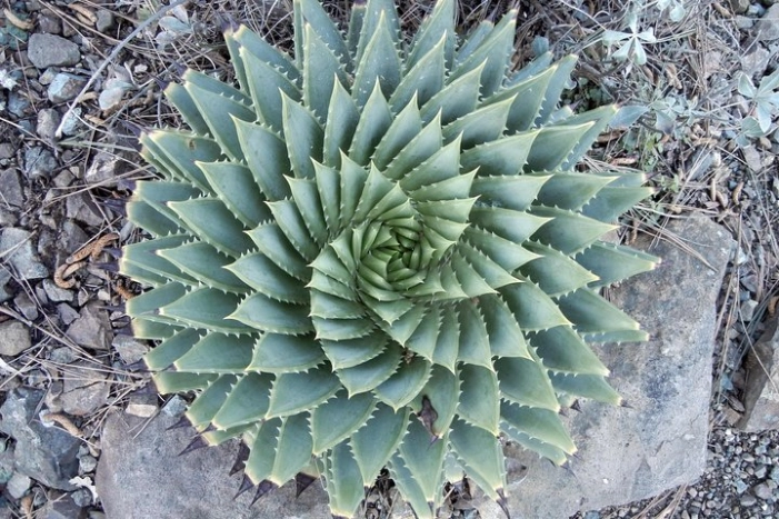 Image 9