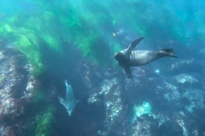 Image 6