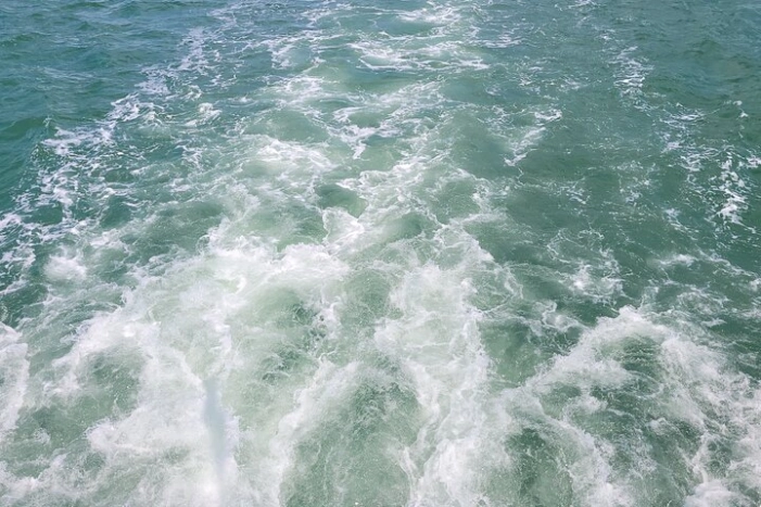 Image 23