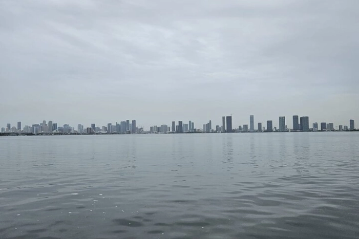 Image 49