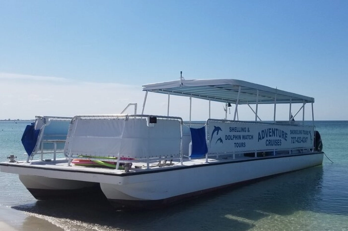 Dolphin /Shelling/Snorkeling tours Private Charters