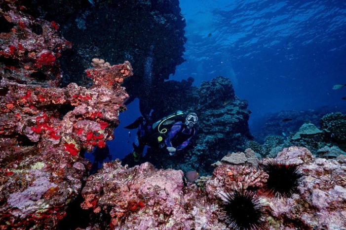 Image 11
