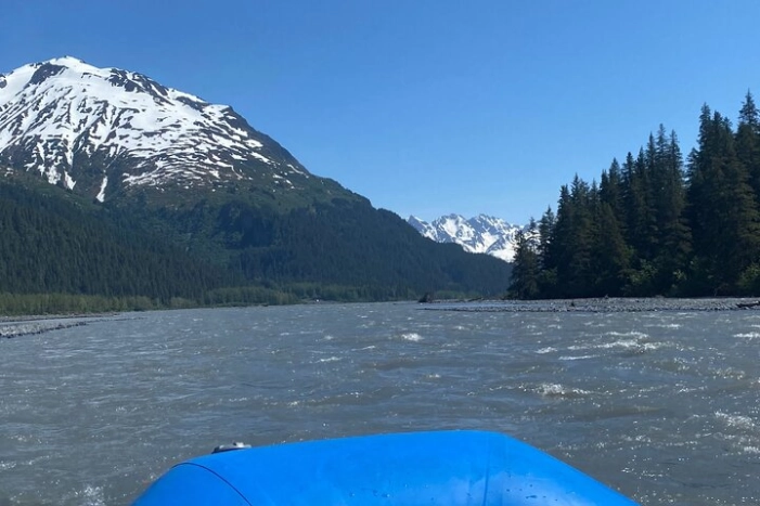 Image 12