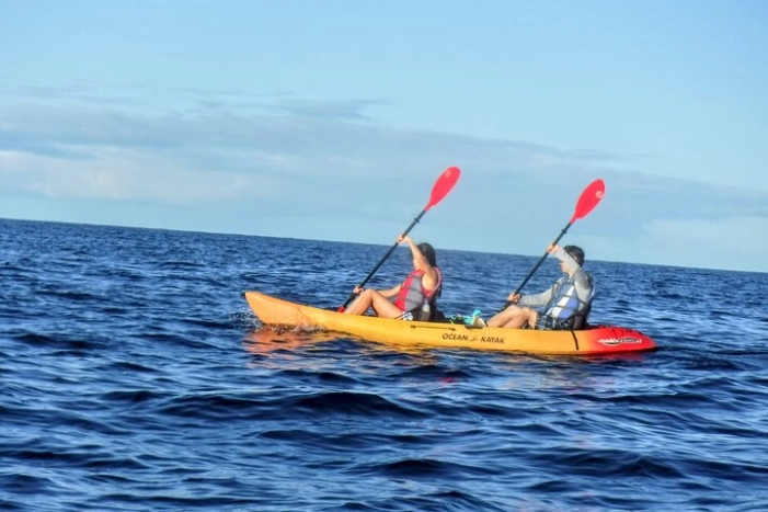 Image 21