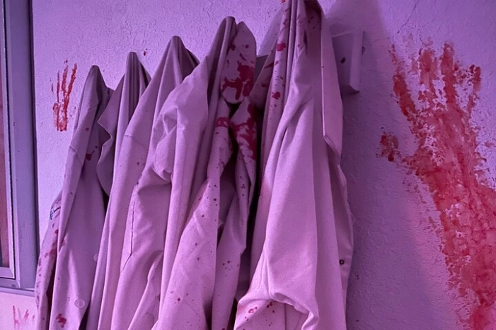Image 6