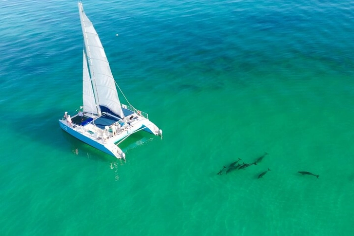 Kayak + Guided Snorkel & Morning Sail hosted by Honest Eco