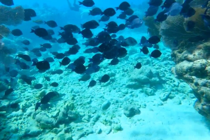 Image 9