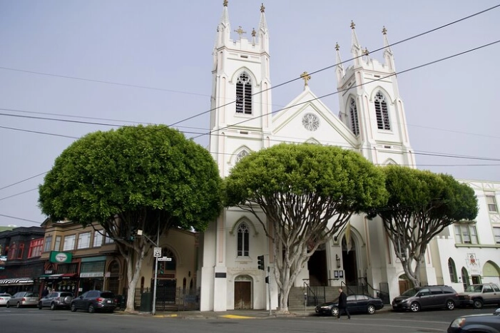 Image 6