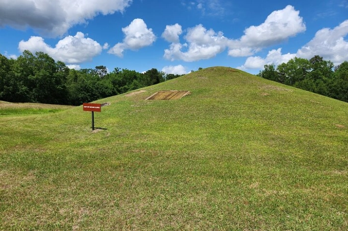 Image 10