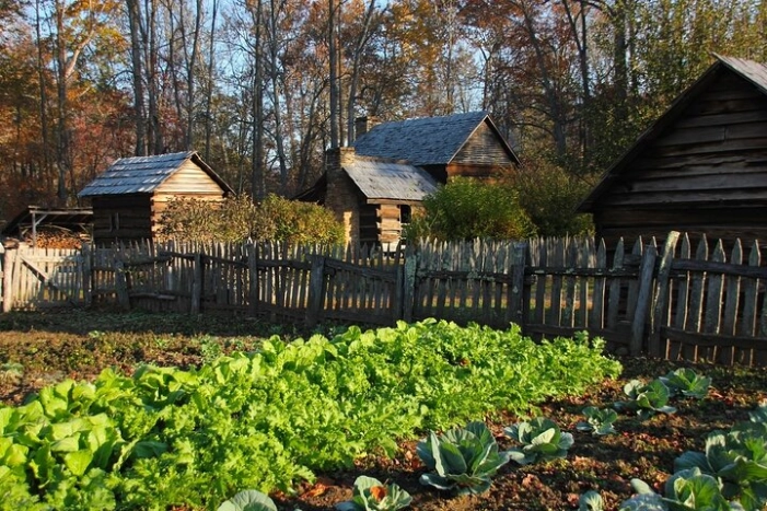 Image 8