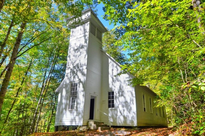 Image 5