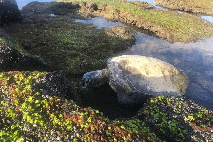Image 14