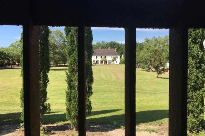 Image 13