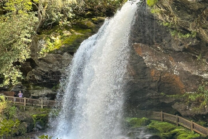 Image 15