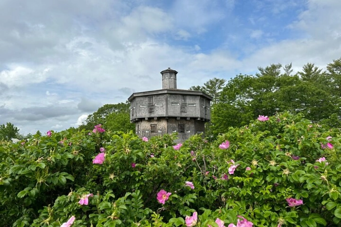 Image 14