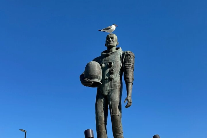 Image 15