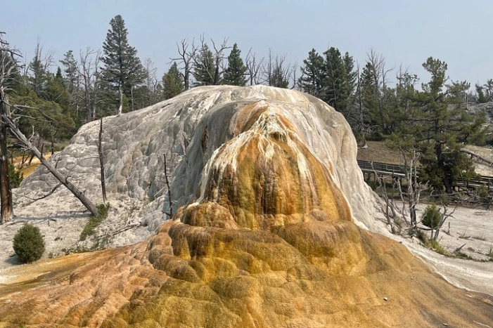 Image 31