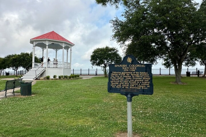 Image 6