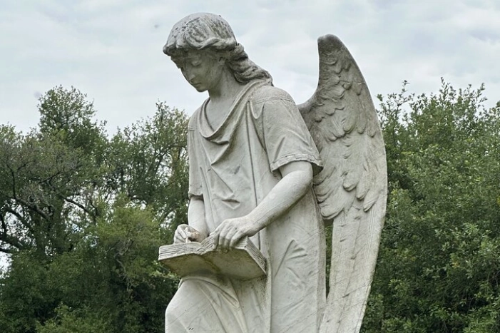 Image 14