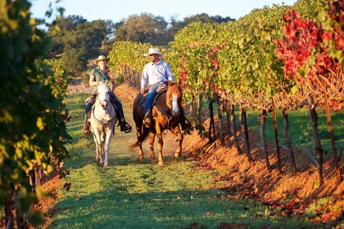 Guided Horseback Tour only 30 mins from Sedona. 