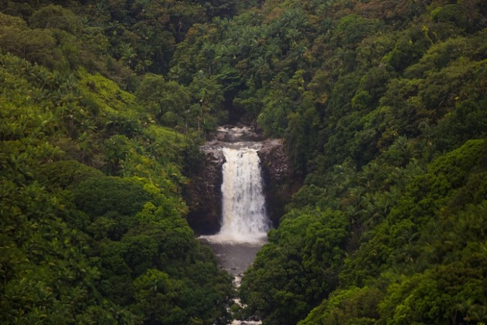 Image 14