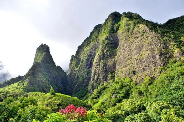 Day Trip Oahu to Maui: Sips, Sites and Bites
