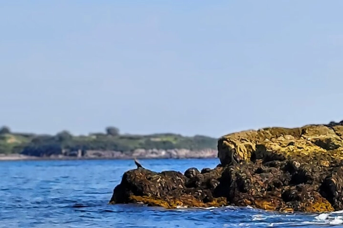 Image 13