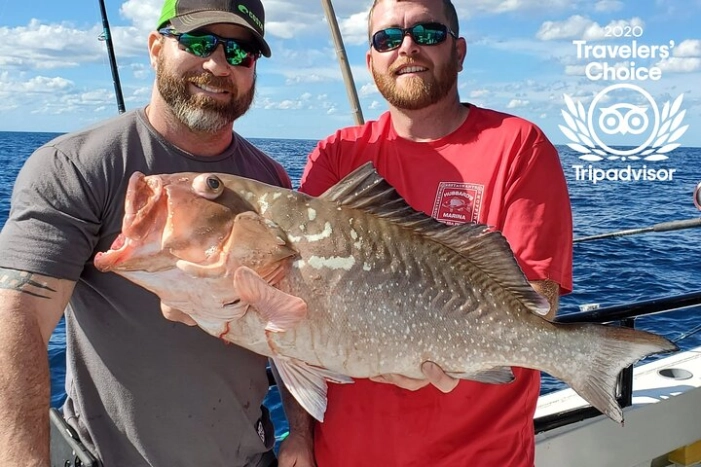 10 Hour Fishing Experience from John's Pass in Madeira Beach