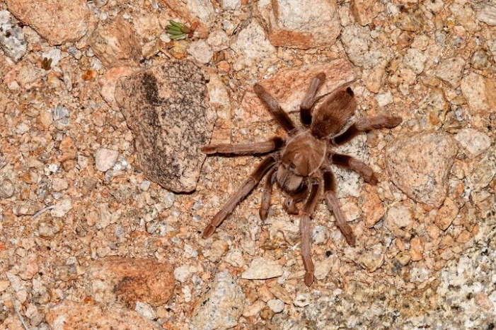 Image 12