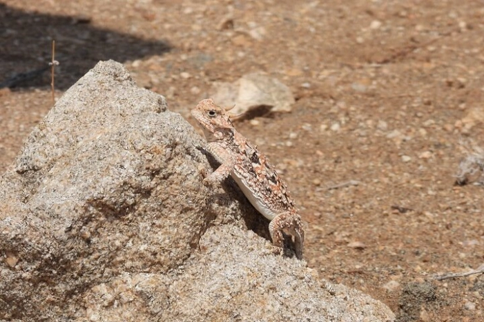 Image 20