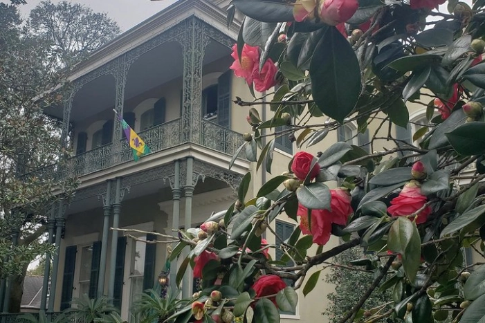 Image 5