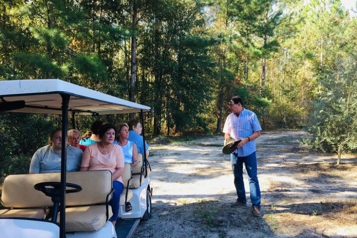 The Olive Grove Tour