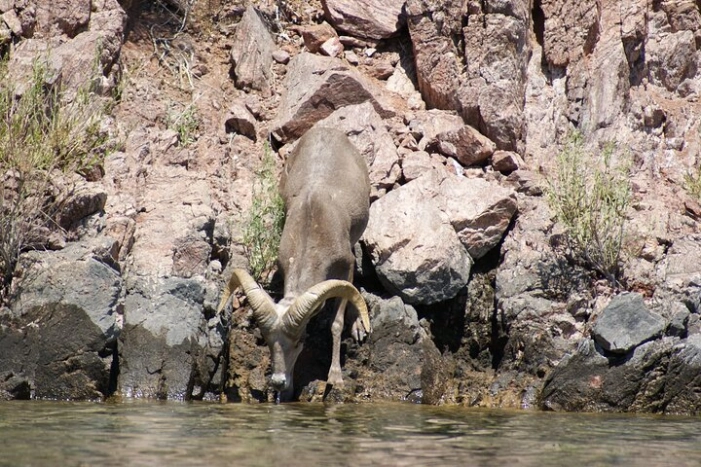 Image 12