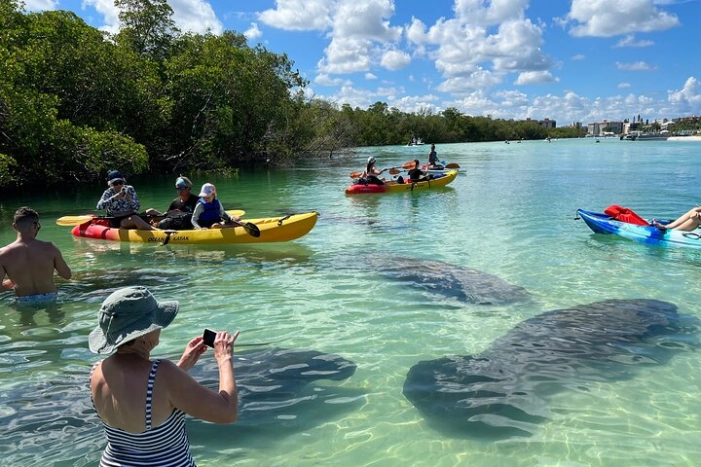 Self-Guided Island Tour: CLEAR/Standard Kayak, SUP-Bonita Springs