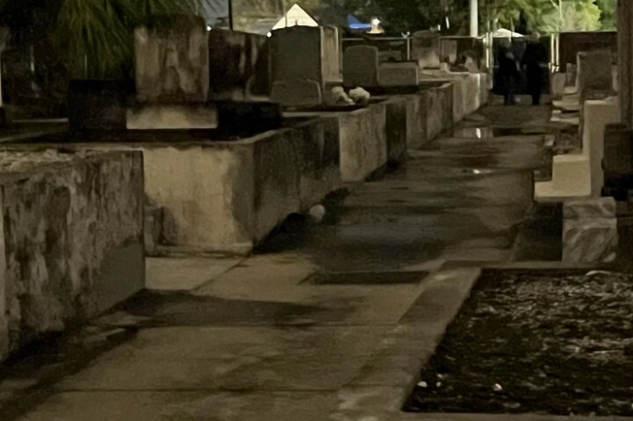 Image 11