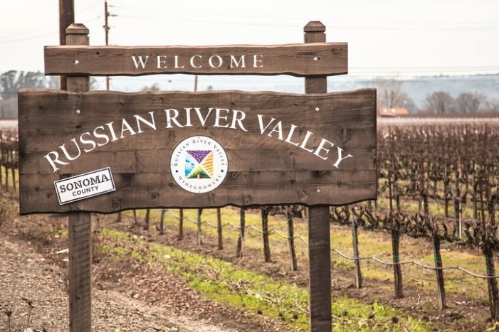 6-Hours Customized Private RUSSIAN RIVER Valley Wine Tour From San Francisco Bay