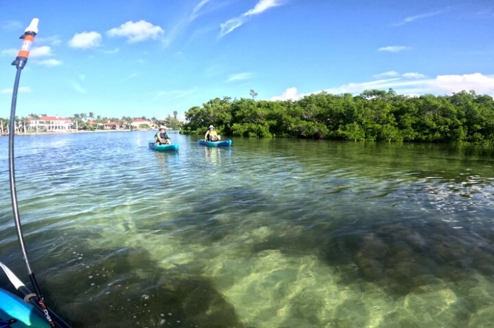 Image 10