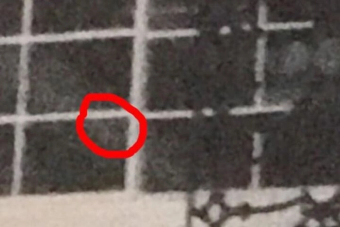 Image 6
