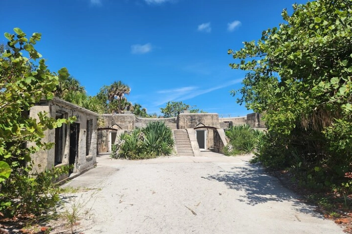 Image 4