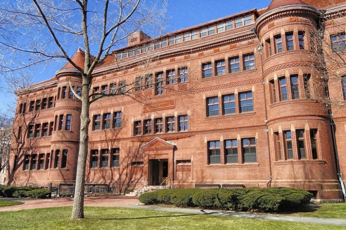 Image 11