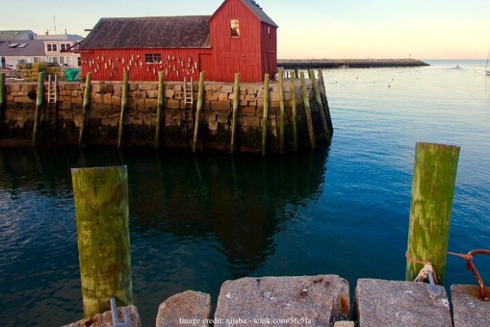 Image 4
