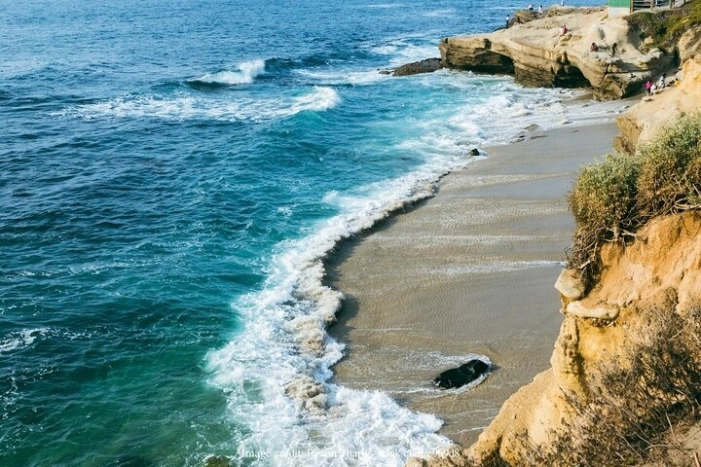 Image 7